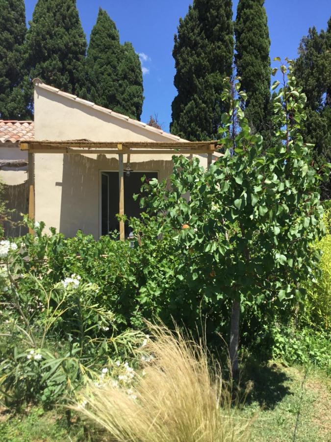 Le Jardin Du Castillon パラドゥー エクステリア 写真